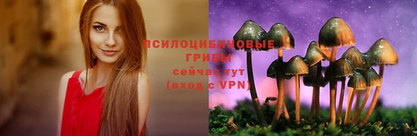 PSILOCYBIN Баксан