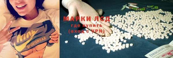 PSILOCYBIN Баксан